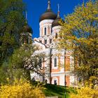view on Alexander Nevsky Cathedral of capital of estonia Tallinn