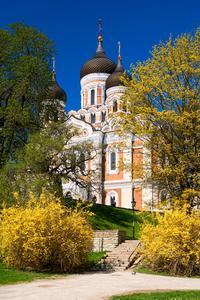 view on Alexander Nevsky Cathedral of capital of estonia Tallinn